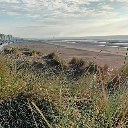 Avec Terrasse Proche