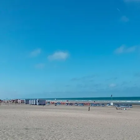 Avec Terrasse Proche *